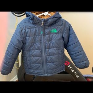 Navy blue North Face Winter Coat